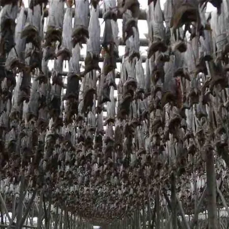 דירה Waterfront With Panoramic Sea View *